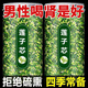爾婭貝胖東來正宗蓮子心蓮心新茶貨泡水蓮芯干貨連子心去火養(yǎng)生茶 1罐250g頭茬蓮子芯