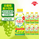 三佳利（Sangaria）日本進(jìn)口白葡萄汁飲料果汁果肉380g*6瓶鋁罐三佳麗飲品