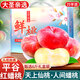 京地達北京平谷蟠桃毛桃子凈重6斤單果125g+新鮮水果禮盒源頭直發(fā)包郵