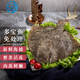 七冰東 多寶魚(yú)新鮮海捕鮮活三去免處理冷凍比目魚(yú)偏口魚(yú)八寶魚(yú)海鮮水產(chǎn) 多寶魚(yú)400- 450g 每條 3條免處理