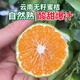 農(nóng)味族云南蜜桔玉溪青皮蜜橘新鮮桔子應(yīng)季孕婦酸甜水果桔橘整箱正宗蜜桔 2.5斤（小果50mm＋）