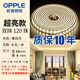 歐普照明（OPPLE）歐普220V高壓燈帶24V低壓線性燈軟光帶客廳吊頂鋁槽裸板燈帶黏貼 雙排款220v【暖白光]120珠9W/米