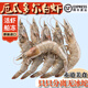 箴好進(jìn)口厄瓜多爾白蝦【順豐】鮮活鹽凍南美白蝦基圍蝦海蝦對蝦類(lèi)海鮮 凈重3.3斤16-18cm【約55只】