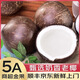 鮮利星椰子【JD順豐速發(fā)】黑椰皇特產(chǎn)青孕婦水果奶香老椰子汁補(bǔ)羊水整箱 1粒裝(小試嘗鮮裝) 商超A+級(jí)大果800g+