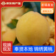 【上海奉賢特產(chǎn)館】奉賢金獎，光明錦繡黃桃12枚一箱單果5兩以上 大果（5~6兩）禮盒裝12個裝