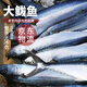 鲅魚(yú)新鮮特大馬鮫魚(yú)燕鲅魚(yú)鮮活海鮮深海海魚(yú)批發(fā) 5斤【約3-5條】