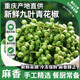 青櫻紅荔 重慶江津青花椒 九葉青花椒藤椒特麻香家用真空保鮮生麻椒花椒粒 50g*6袋【300g】