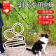 隨燦q訓(xùn)犬P繩防纏繞訓(xùn)狗繩大小中型犬只防爆沖狗鏈控制牽引繩遛狗訓(xùn)練 訓(xùn)犬p繩【黑色1條】 （約1.4m長/防纏繞萬向環(huán)設(shè)計）
