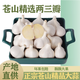 25年蒼山兩三瓣大蒜大蒜種子老品種非轉(zhuǎn)基因新干蒜粘脆3/5斤 3斤大果【圓通快遞】