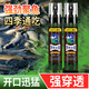 谷道香野釣大師釣魚小藥誘魚劑魚餌料羅非翹嘴黑坑野谷道香釣魚餌添加劑 野釣大師120ml*1瓶