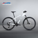 喜德盛（xds）山地車(chē)自行車(chē)傳奇500桶軸2*10速桶軸成人越野單車(chē) 幻影/白 20速 15.5寸架高（建議身高155-170）