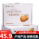 迭果百里洲砂梨湖北枝江沙梨翠冠梨子水果現(xiàn)摘現(xiàn)圓黃梨 5斤普通裝9個(gè)無禮盒 精品果