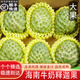 畝家田【順豐】海南牛奶釋迦果番荔枝新鮮大目佛頭果熱帶水果年貨整箱 5斤優(yōu)選裝大果