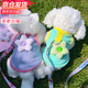 心楠狗狗衣服寵物防飛毛透氣背心春夏小型犬泰迪比熊背心布偶貓咪衣服 青色花朵衣服+牽引繩 M碼【建議5-8斤】