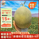 【新疆直發(fā)】正宗新疆哈密瓜 現(xiàn)摘網(wǎng)紋瓜西州蜜25號(hào)至愛整箱裝 8-9斤2-3枚【順豐包郵】
