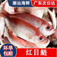 紅目鰱 大眼雞魚(yú)潮汕海鮮打冷魚(yú)飯活冷凍海鮮水產(chǎn)紅目良魚(yú) 2-3條 1斤