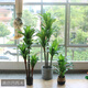 仿真植物假樹(shù)綠植巴西木鐵客大廳落地盆栽酒店裝飾花室內綠色環(huán)保 巴西木盆景0.9米高(不帶盆