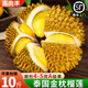 金枕榴蓮批發(fā)一箱14斤泰國金枕榴蓮新鮮水果10斤一整個整箱順豐包 1.5-2斤【試吃嘗鮮裝】