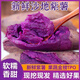 紫薯新鮮紫薯現(xiàn)挖現(xiàn)挖紫羅蘭粉糯香甜板栗地瓜湖北生鮮紫薯 單果1-2兩 | 較劃算 5斤 | 活動(dòng)熱銷款 | 凈重4.5斤