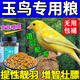 玉鳥專用食鳥糧小鳥雞蛋米開口長肉壯膘亮羽金絲雀混合營養(yǎng)糧飼料 1瓶裝【玉鳥最愛五谷糧】