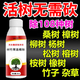 新款毒樹劑除大樹專用肥料草劑藥環(huán)嗪酮水劑一針毒樹王倒?fàn)I養(yǎng)液 1瓶【專業(yè)除樹劑】各類型樹通用