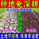 松土精土壤活化劑疏松改善土壤板結(jié)通用型免深耕鹽堿地調(diào)理劑肥料 5袋【松土十米深】種啥旺啥