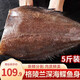 鮮拔頭籌鰈魚(yú)身蝶魚(yú)中段 格陵蘭深海鴉片魚(yú)頭比目魚(yú)進(jìn)口生鮮海鮮 精品 鰈魚(yú)身凈重 2.5kg （3-5塊）