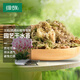 綠族12L干苔蘚水苔蝴蝶蘭花菩提專用營(yíng)養(yǎng)土植物烏龜墊材鐵皮石斛種植