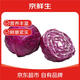 京鮮生山東新鮮紫甘藍(lán)凈重4.5斤 新鮮蔬菜 單果350g+沙拉蔬菜 源頭直發(fā)