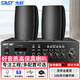 先科（SAST）SA-9002壁掛音響40W套裝藍牙功放機公共廣播室家用客廳商用會(huì )議店鋪背景喇音箱大功率擴音一拖二
