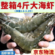 大蝦鮮活新鮮冷凍超大蝦子批發(fā)一整箱青蝦基圍蝦海鮮水產(chǎn) 20厘米左右 3.2斤(凈重)  左右 4斤/盒