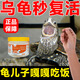 多維電解質(zhì)烏龜專用改善烏龜乏力疲勞沒精神改善厭食拒食專用神器 烏龜多維電解質(zhì)一瓶