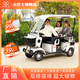 Minibusev小巴士E900四人座電動(dòng)四輪車(chē)家用接送孩子帶棚電瓶車(chē)老頭樂(lè )代步車(chē) 電磁剎車(chē)800W60V35Ah黑金電池+雨棚
