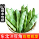 辰實(shí)東北油豆角（順豐發(fā)貨中）新鮮蔬菜油豆角 面豆角 開鍋爛 5斤 （劃算）