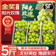 山姆大叔陽(yáng)光玫瑰葡萄【JD順豐-多地次日達】 晴王青提水果禮盒中秋禮品 【甜蜜爆汁】單果8-10g | 精品果 5斤【爆款推薦85%選擇-超值推薦】?jì)?斤