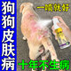 狗狗皮膚病專用藥狗癬真菌感染潰爛皮炎瘙癢螨蟲掉毛濕疹外用噴劑 單瓶裝【小面積皮膚當(dāng)完好】
