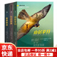 【京東快遞】山居歲月三部曲正版大獎(jiǎng)小說書系8-10-12-15歲中小學(xué)生三四五六年級(jí)必遠(yuǎn)山深處課外閱讀書目籍安徒生獎(jiǎng)提名獎(jiǎng)新蕾出版社 【3本】山居歲月系列123