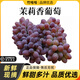 竹哈哈【順豐包郵】云南茉莉香當季無(wú)籽香甜葡萄新鮮水果紅提子玫瑰 A+精品果1斤