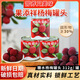 果添祥楊梅罐頭整箱312g新鮮水果即食罐頭果肉奶茶蛋糕餐飲烘焙糖水罐頭 楊梅312g鐵罐2罐（嘗鮮）