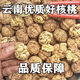 【2025年新貨】精選薄皮核桃野生老樹(shù)核桃云南原味薄皮殼核桃 2斤普通果
