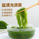 鮮窩窩 新鮮龍須菜500g 鹽漬鮮嫩石花菜 涼拌菜海菜海藻火鍋食材麻辣燙