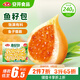 安井 魚籽包 240g 1包 魚糜含量45%  鎖鮮裝火鍋麻辣燙關(guān)東煮丸料
