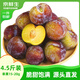京鮮生 四川紅脆李凈重4.5斤單果15-20g健康種植脆甜飽滿(mǎn)源頭直發(fā)