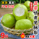 甘肅早酥梨9斤青皮脆甜梨子當(dāng)季青梨新鮮時令孕婦水果非碭山酥梨 5斤 特大果