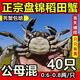 【活蟹】盤(pán)錦河蟹鮮活正宗稻田蟹公母大閘蟹六月黃小螃蟹特大滿(mǎn)黃 3斤【公母蟹】40只 0.8-0.6兩/只