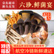 高原云品【云南新鮮菌菇組合】?jì)糁?斤 特選搭配 新鮮菌菇 源頭直發(fā)
