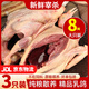 百味殿乳鴿新鮮宰殺正宗三年老鴿子保留心肝冷凍農家散養(yǎng)滋補土鴿子湯 散養(yǎng)乳鴿凈400g*3只