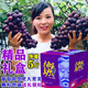 秦人農(nóng)匠 正宗戶太八號(hào)【順豐空運(yùn)】陜西戶縣葡萄新鮮滬太8號(hào)西安特產(chǎn)禮盒 5斤 匠心禮盒裝