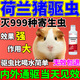 荷蘭豬驅蟲(chóng)藥倉鼠豚鼠專(zhuān)用體內外噴霧劑沐浴露除臭除螨蟲(chóng)跳蚤虱子 【買(mǎi)三送二】?jì)韧怛屜x(chóng)