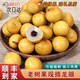 傾睦廣西儲良老樹龍眼【順豐】漳州石峽現(xiàn)摘桂圓孕婦新鮮水果團購送禮 5斤【含箱】